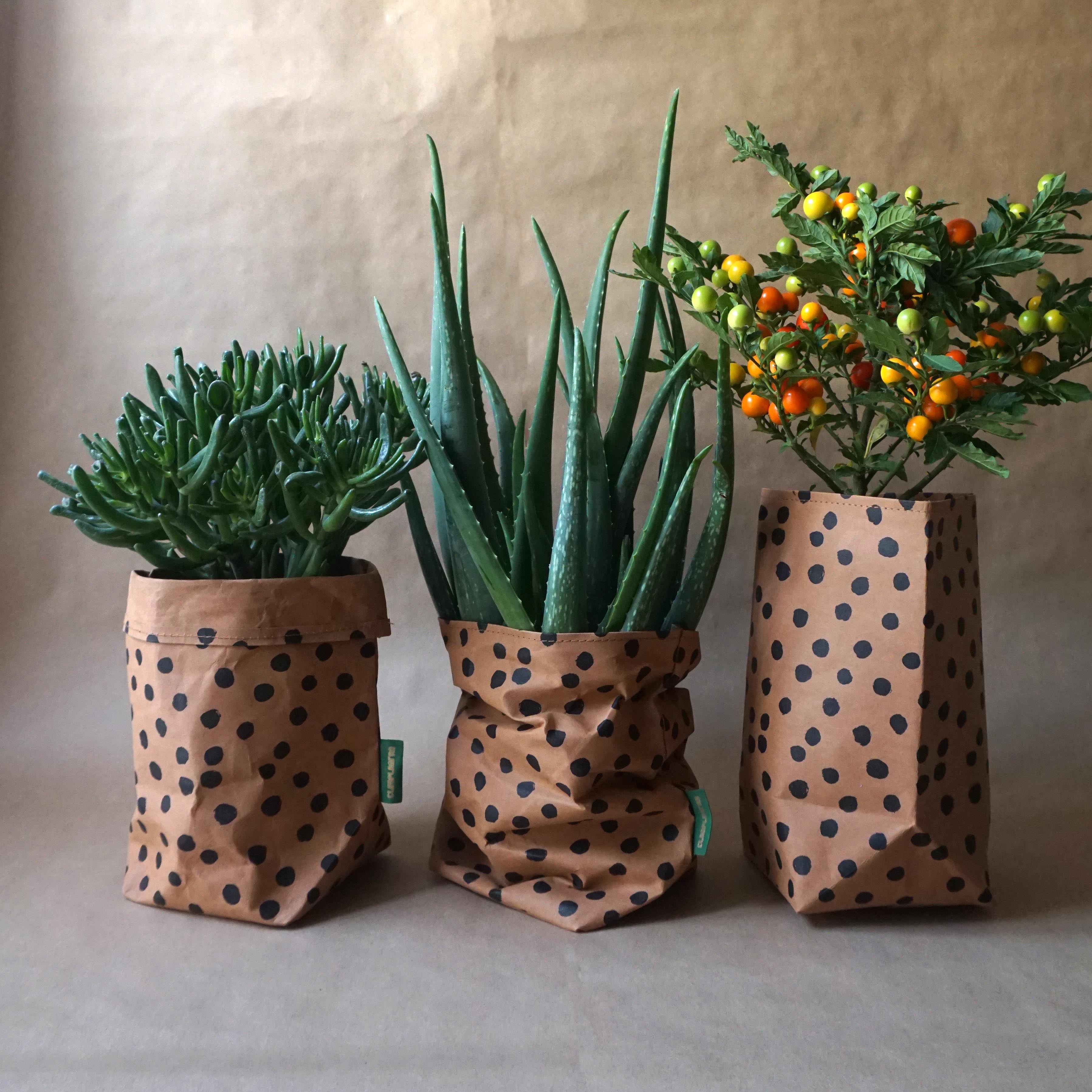 paper plant pot covers Dotty Pot Cover